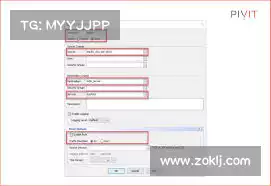 黑洞加速器免费版——畅享快速浏览,感受前所未有的流畅体验!